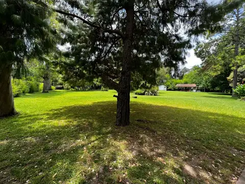 De la Tradicion 1500