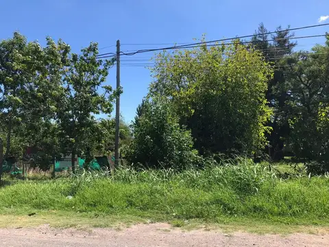 Calle 508 entre 22 y 23 100