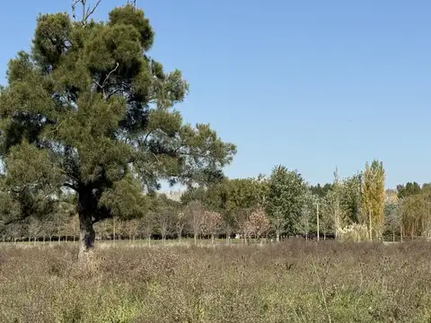 Terreno en Venta 60  mts Frente