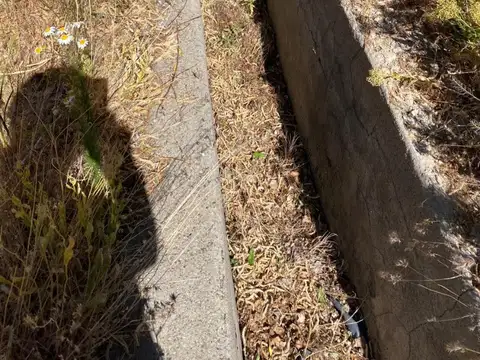 Campo de 2500 ha en Costa Del Lepa