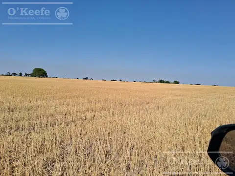 Campo en Venta 2500 has Entre Rios