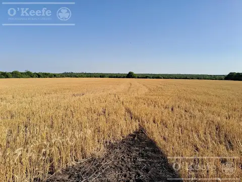 Espectacular campo, con muy buen casco e instalaciones. Agrícola ganadero turístico