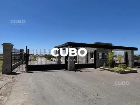 Juan Jose Paso y Terrada (Pinar del sol 9)