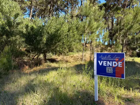 Cul de sac y Barlovento