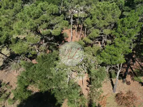 Terreno en Venta 43  mts Fondo