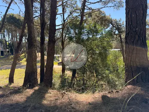 Terreno en Venta de 1263,0 m2