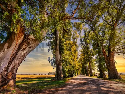 Terreno en Venta de 1000,0 m2