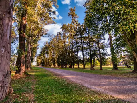 Terreno en Venta en Countries y Barrios Cerrados en General Rodriguez, USD 18.000