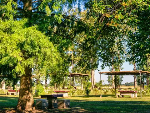 Ruta Provincial 6 100, General Rodriguez, General Rodriguez, Buenos Aires , Piso 0