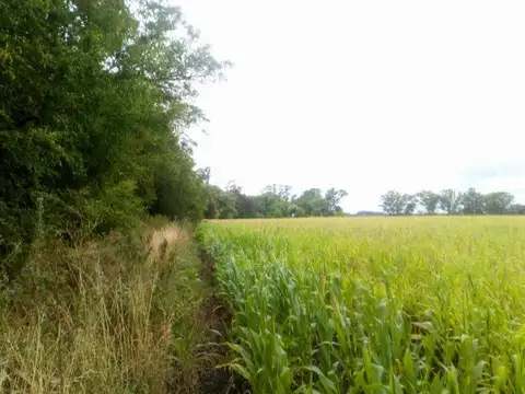 calle las tropas 250,