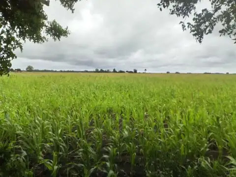 8 HECTAREAS EN VENTA EN MADARIAGA