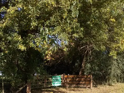 calle las tropas 250,