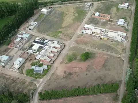 Lote 8 Mza 3 La Consuelo