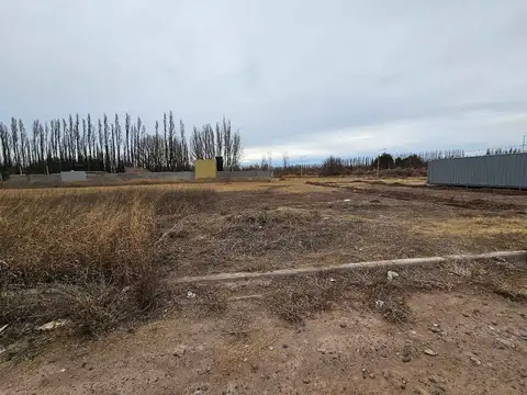 Lote 8 Mza 3 La Consuelo