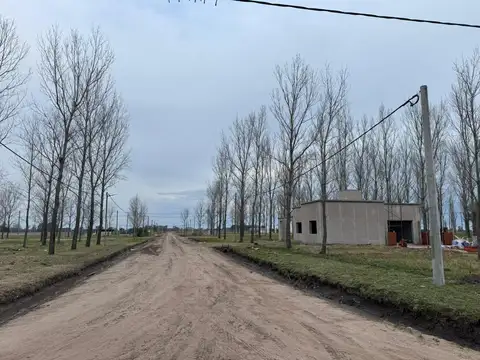 Barrio Abierto Los Álamos