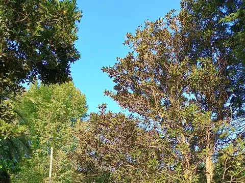 Terreno en Venta de 2405,0 m2