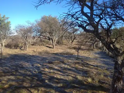 Terreno en Venta en Cortaderas, USD 15.000