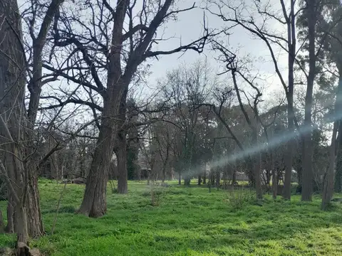 Terreno en Venta de 763,0 m2