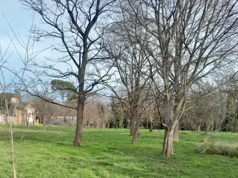 Lote Centrico  Sierra De La Ventana