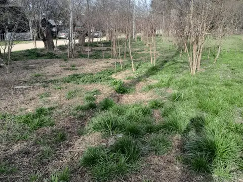 Los Tilos 126, B8168 Sierra de la Ventana, Provincia de Buenos Aires, 100