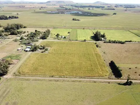 Campo en venta - 40.000Mts2 - Balcarce