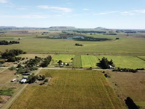 Camino Provincial 008-03