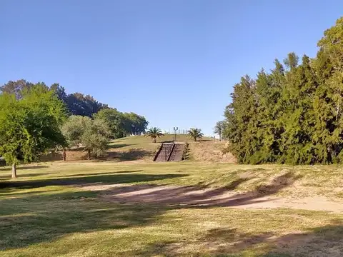 Azahares del Paraná