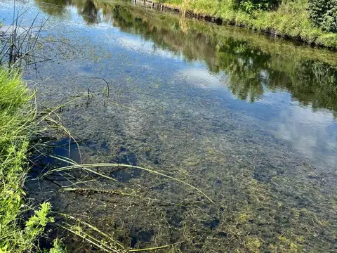 Terreno en Venta 20  mts Fondo