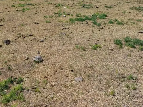 Campo en venta - 15.000Hectáreas - Santa Fe