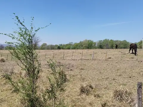 VENTA TERRENO EN LOS REARTES 650 m2