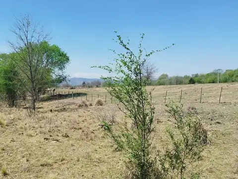 Terreno en Venta de 650,0 m2