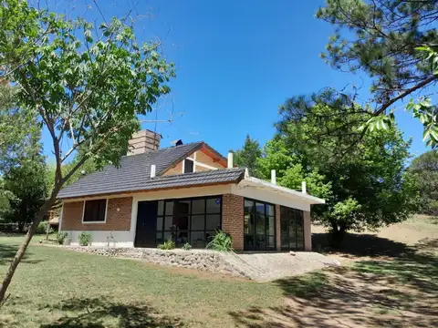 Bernardo Houssay 100