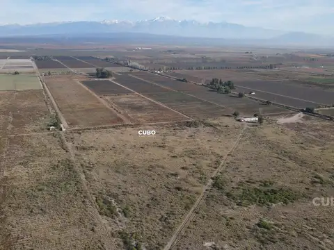 47 hectareas de campo con gran Frente en Ruta Nacional 40 (Acceso Sur) Ugarteche Lujan de Cuyo
