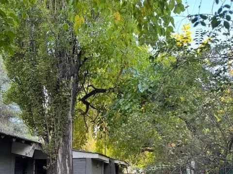 Casa en Alquiler en Chacras De Coria, $ 1.200.000