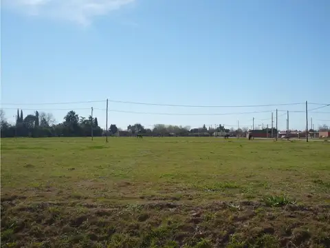 Terreno en Venta de 330,0 m2