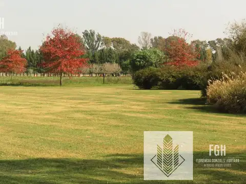 Terreno en Venta de 1139,0 m2