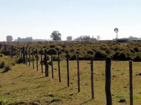 Campo mixto de 58 HAS en venta  Sobre Ruta N° 29 - Ranchos