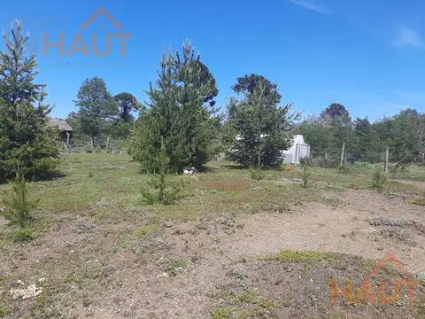 Los Cauquenes Moquehue