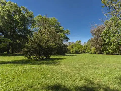 Quinta con añosa arboleda y plantas.
