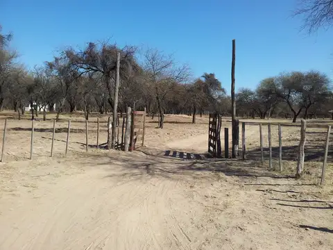Campo en Venta de 3.300  ha