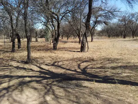 Campo en Ayacucho, San Luis