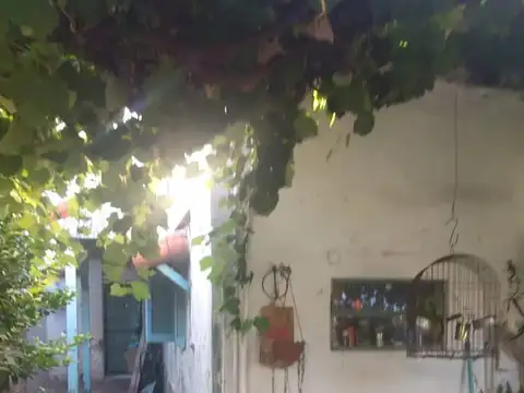 Ambrosio Crámer 100