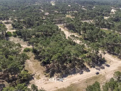 Bosques Etapa 1 Lote 13 E