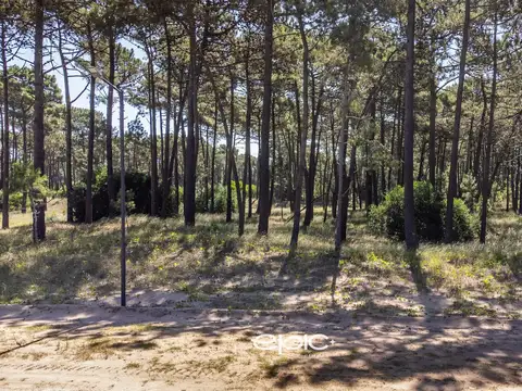 Terreno en Venta en Pinamar, USD 117.000