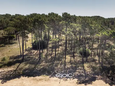 Terreno en Venta de 1050,0 m2