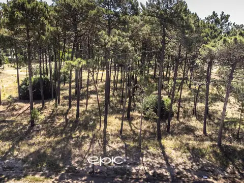 Terreno en Venta 42  mts Fondo