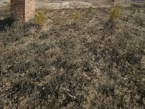 Terreno en Venta de 300,0 m2