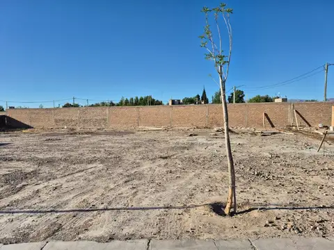 Terreno en Venta en Rivadavia, USD 35.000