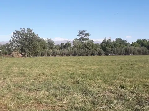 Terreno en Venta de 96334,0 m2