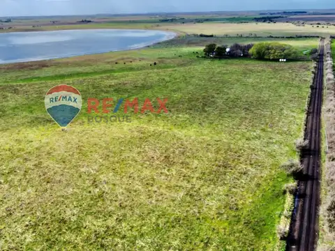 VENTA CHACRA 22 HECTAREAS GENERAL MADARIAGA